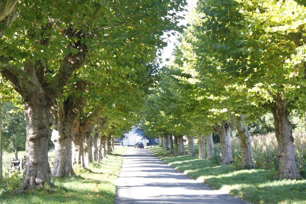 Avenue Du Chateau Saint-Just  Zewnętrze zdjęcie